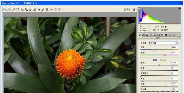 camera raw 7.1 plugin photoshop cs6 download