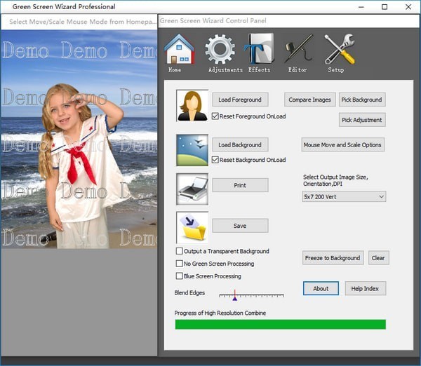 Green Screen Wizard Professional 12.2 for windows download