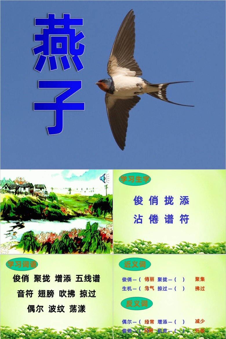 ����PPT�μ� 