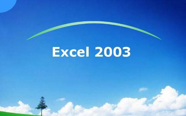 Microsoft Office Excel2003