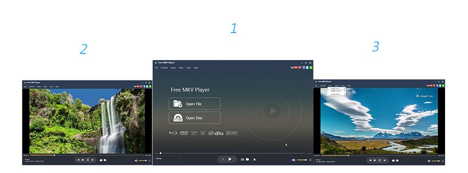 Aiseesoft Free MKV Player