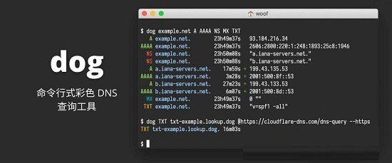 dog(ʽɫDNSѯ)