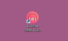 AudFree DRM Audio Converter