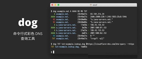 dog(ʽɫDNSԃ) V0.1.0ٷ