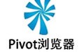 Pivot浏览器
