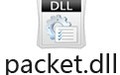 packet.dll