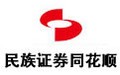 民族证券同花顺