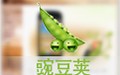 豌豆荚 电脑版