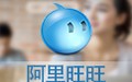 阿里旺旺买家版 9.12.10C