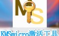 KMSmicro(win8.1激活工具) 5.0.1