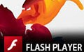 Adobe Flash Player 32.0