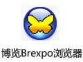 博览Brexpo浏览器 1.9