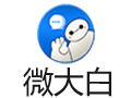 微大白 1.63