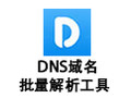 DNS域名批量解析工具 1.31