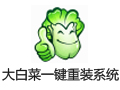 大白菜一键重装系统 7.0.10