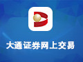 大通证券网上交易神通版资金流向数据 9.1