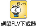 硕鼠FLV下载器 0.4.8