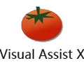 Visual Assist X 10.9