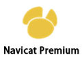 Navicat Premium 15.0.9