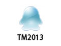 TM2013