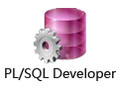 PL/SQL Developer 11.0.4