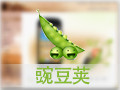 豌豆荚 电脑版
