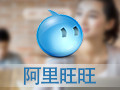 阿里旺旺买家版 9.12.05