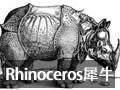Rhinoceros犀牛 6.9