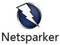 Netsparker 4.6.1
