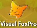 vfp 6.0中文版