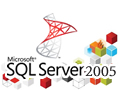 SQL Server 2005 精简版