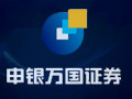 申银万国神网E通 5.80金典版