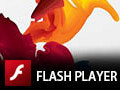 Adobe Flash Player 31.0