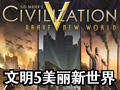 文明5美丽新世界