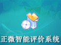 正微智能评价系统 10.93