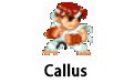 Callus 95