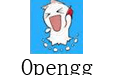 Opengg.clean.player 1.0