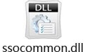 ssocommon.dll