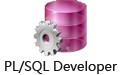 PL/SQL Developer 13.0.1
