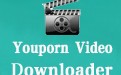 Youporn Video Downloader 3.19