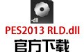 PES2013 RLD.dll