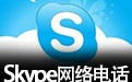 Skype网络电话 8.66