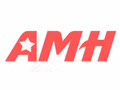 AMH 5.3