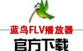 FLV 1.0