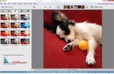 Google Picasa