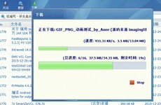 IDM(Internet Download Manager)