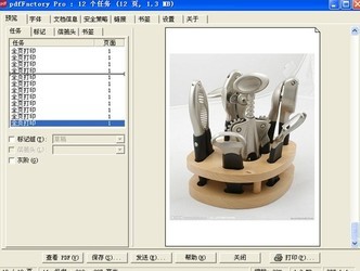 pdfFactoryPro6.19
