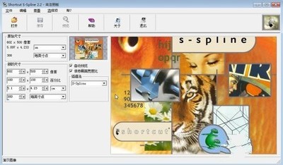 S-SplinePRO