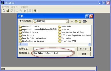 DIB位图显示(ShowDIB)