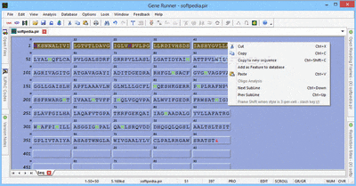  Gene Runner ٷ